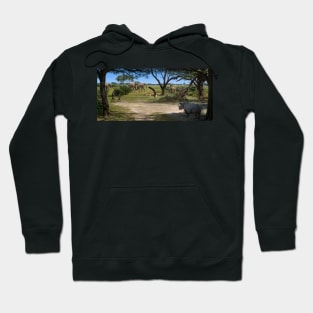 Australopithecus afarensis landscape (C015/5361) Hoodie